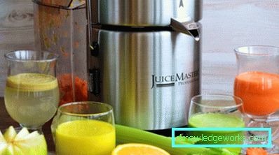 Juice Master Professional Juicer