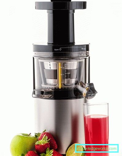 Juice Master Professional Juicer